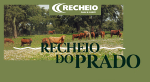 publicidade